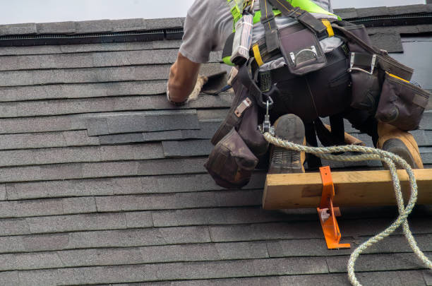 Roof Restoration